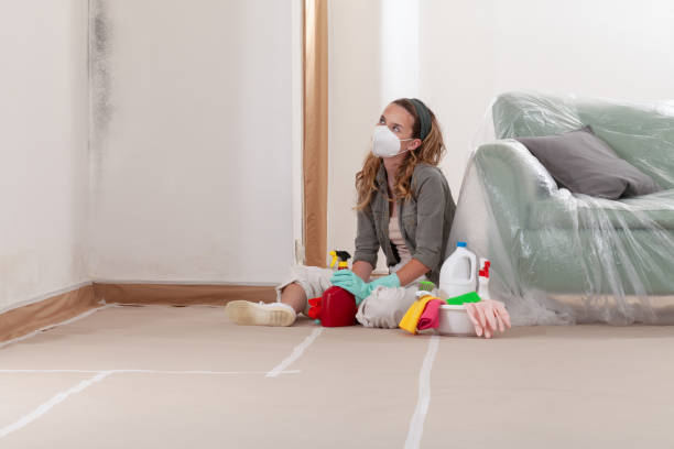 Reliable Black Mold Removal contractor in Gulf, NC by WQB Mold Removal